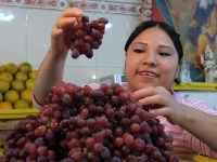 Hasta en 100 pesos, el kilo de uva en Edomex